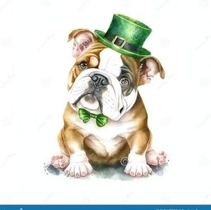 Meet your Posher, Kaylene